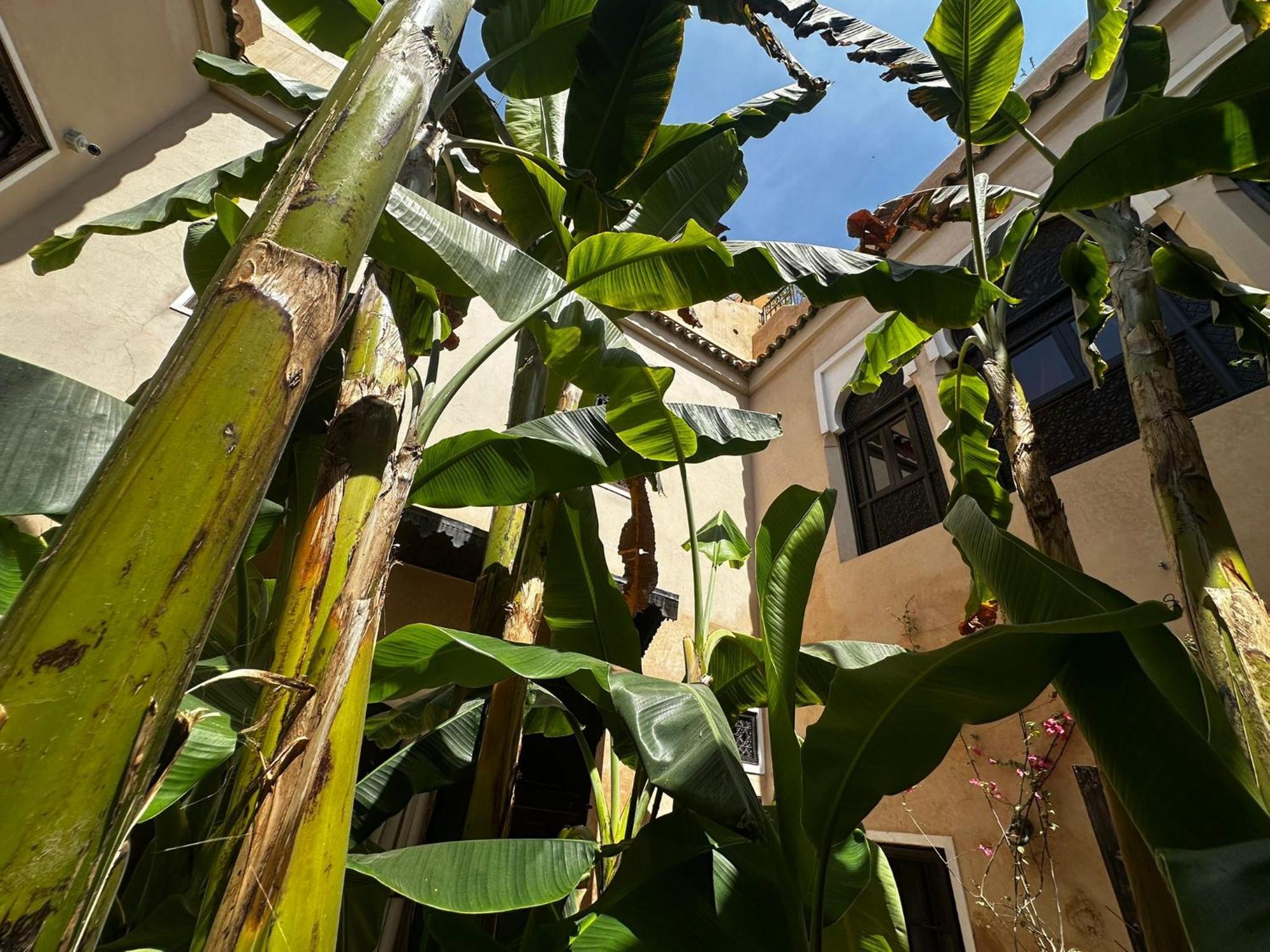 Riad Bamileke Marrakesh Exterior foto